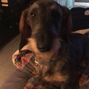 Meet your Posher, Sandi